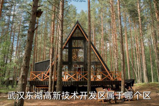 東湖開發區，武漢東湖開發區于三年后被國務院首批為什么