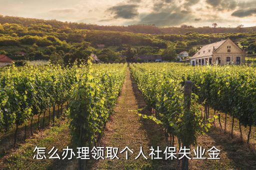 社保失業(yè)金怎么申請(qǐng)，怎么辦理領(lǐng)取個(gè)人社保失業(yè)金