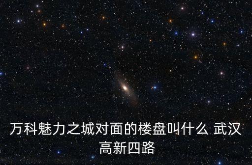 萬科魅力之城對面的樓盤叫什么 武漢 高新四路