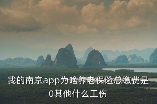 我的南京app為啥養老保險總繳費是0其他什么工傷