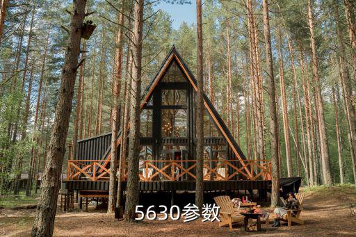 5630，5630貼片什么意思