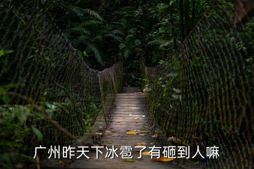 廣州新聞，廣州昨天下冰雹了有砸到人嘛