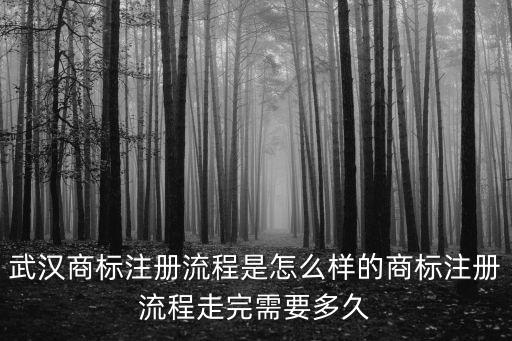 武漢商標(biāo)，武漢商標(biāo)注冊流程是怎么樣的商標(biāo)注冊流程走完需要多久