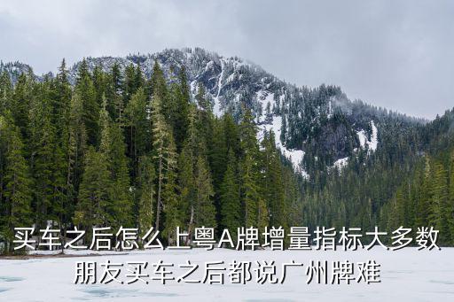 買車之后怎么上粵A牌增量指標大多數朋友買車之后都說廣州牌難