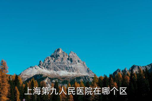 上海第九人民醫院在哪個區