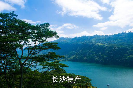 長沙特產