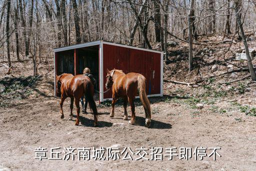 章丘濟南城際公交招手即停不