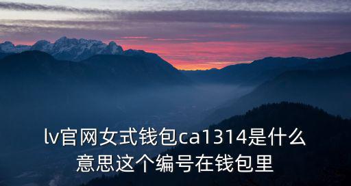 lv官網女式錢包ca1314是什么意思這個編號在錢包里