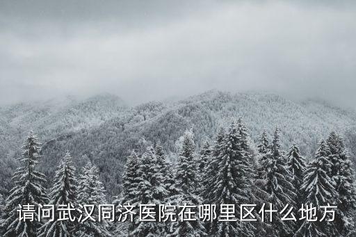 請問武漢同濟醫院在哪里區什么地方