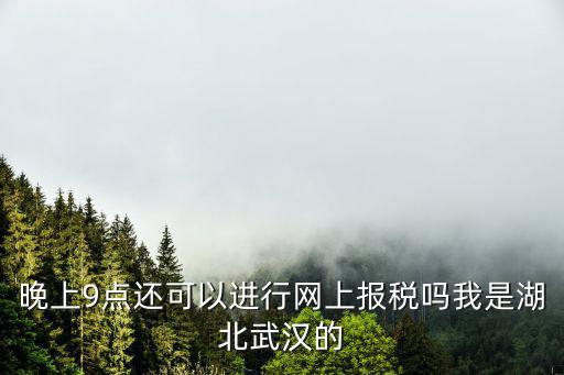 晚上9點(diǎn)還可以進(jìn)行網(wǎng)上報(bào)稅嗎我是湖北武漢的