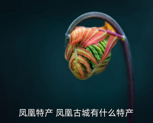 鳳凰特產 鳳凰古城有什么特產
