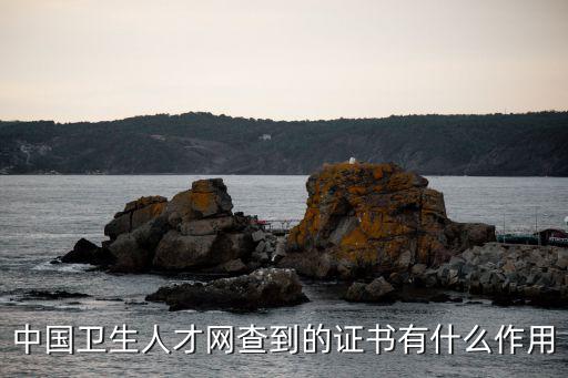 中國衛生人才網，中國衛生人才網密碼忘了怎么辦