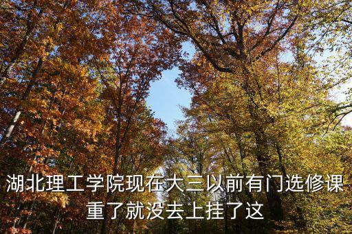 湖北理工學院現在大三以前有門選修課重了就沒去上掛了這