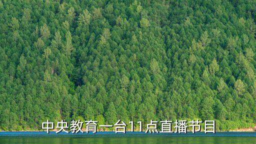 中央教育一臺直播，有什么比較適合找工作的節目沒有