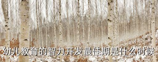 幼兒教育的智力開發最佳期是什么時候