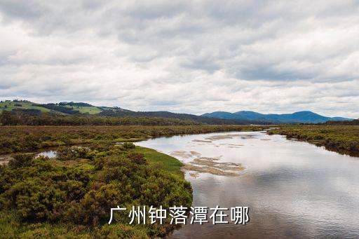 廣州鐘落潭在哪