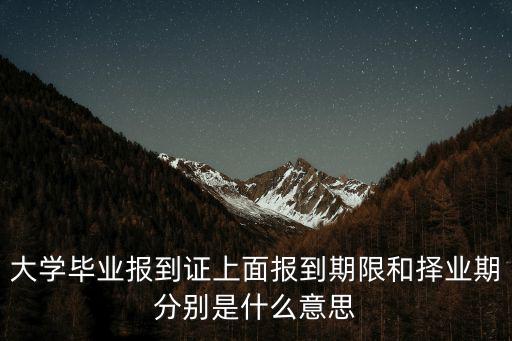 擇業(yè)期，大學(xué)生畢業(yè)后兩年是擇業(yè)期這期間有什么優(yōu)惠政策嗎