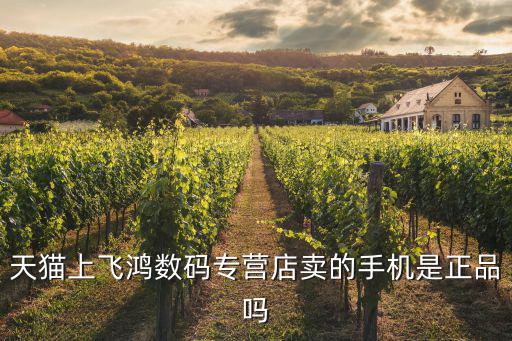 飛鴻數碼，天貓上飛鴻數碼專營店賣的手機是正品嗎
