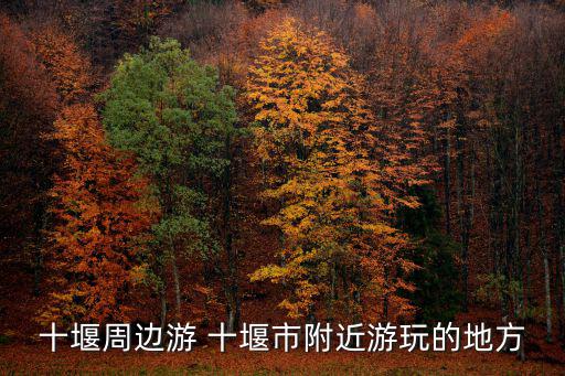 十堰周邊游 十堰市附近游玩的地方
