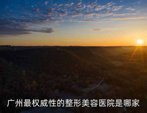 廣州最權威性的整形美容醫院是哪家