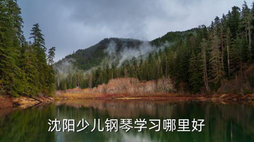 沈陽少兒鋼琴學習哪里好
