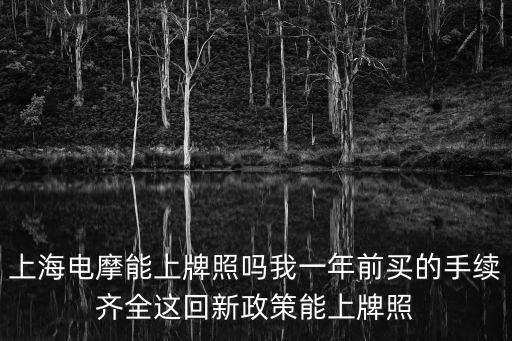 上海電摩能上牌照嗎我一年前買的手續齊全這回新政策能上牌照