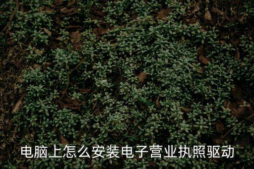 電腦上怎么安裝電子營業(yè)執(zhí)照驅(qū)動