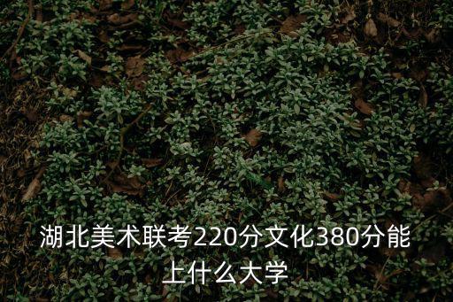 湖北美術(shù)聯(lián)考220分文化380分能上什么大學(xué)