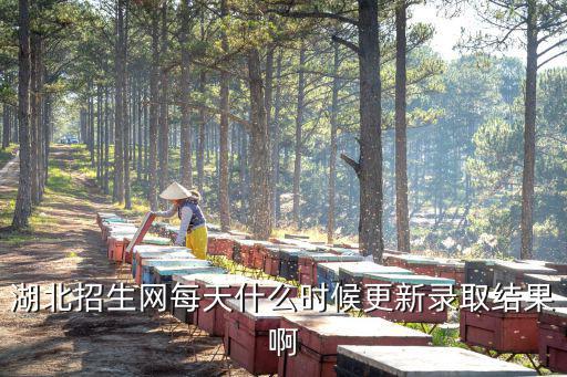 湖北招生網每天什么時候更新錄取結果啊