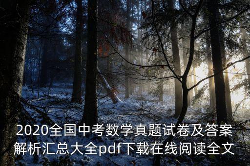 2020全國中考數學真題試卷及答案解析匯總大全pdf下載在線閱讀全文
