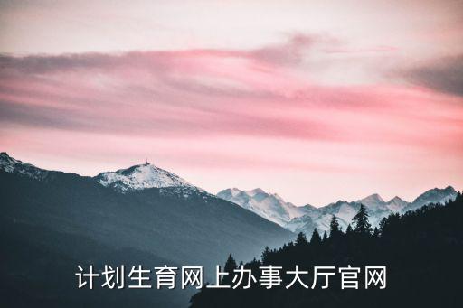 計(jì)劃生育網(wǎng)上辦事大廳官網(wǎng)