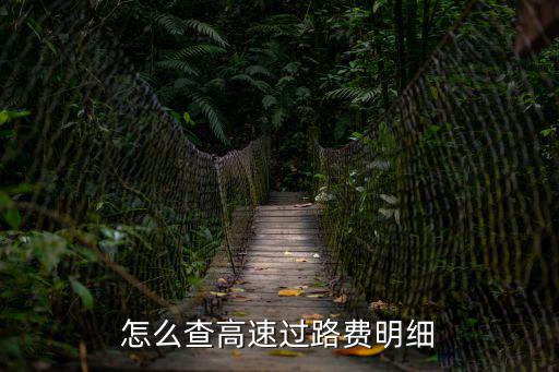 高速費用查詢，怎么查高速過路費明細