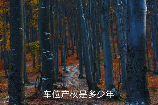 車位產權是多少年