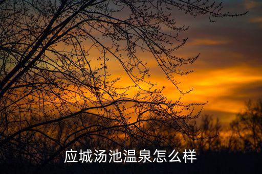 應城湯池溫泉怎么樣