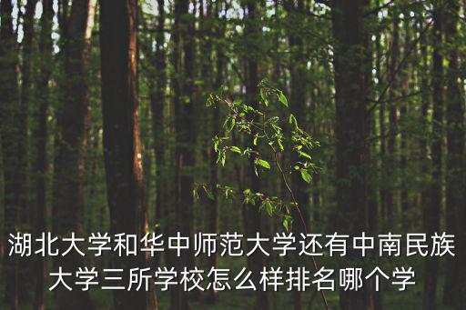 湖北大學和華中師范大學還有中南民族大學三所學校怎么樣排名哪個學