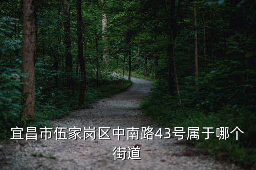 宜昌市伍家崗區(qū)中南路43號(hào)屬于哪個(gè)街道