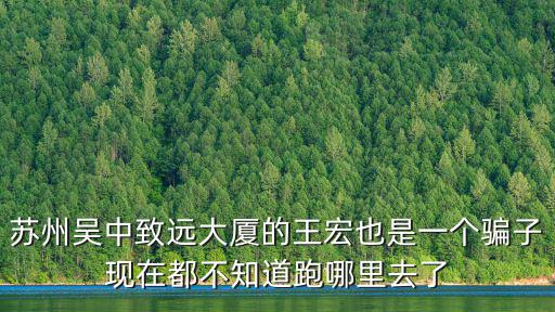 蘇州吳中致遠(yuǎn)大廈的王宏也是一個騙子現(xiàn)在都不知道跑哪里去了