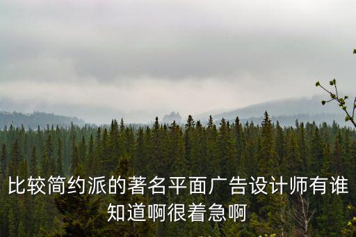 比較簡約派的著名平面廣告設計師有誰知道啊很著急啊
