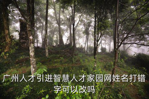 廣州人才引進(jìn)智慧人才家園網(wǎng)姓名打錯字可以改嗎