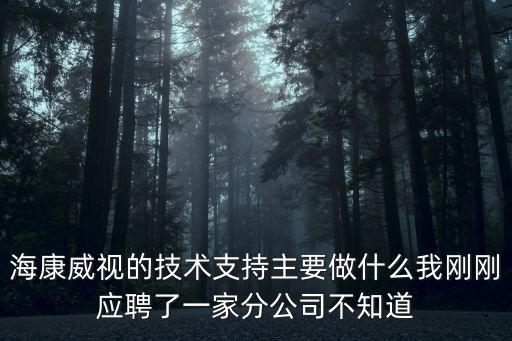 海康威視校招官網，海康威視是不是必須18歲才能進