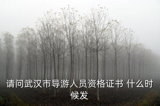請問武漢市導(dǎo)游人員資格證書 什么時(shí)候發(fā)