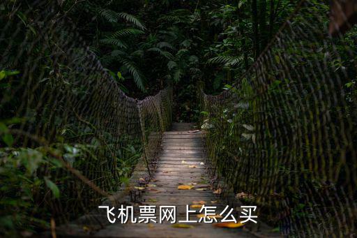網上訂飛機票，如何在網上買飛機票