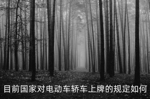 電動(dòng)車(chē)政策，目前國(guó)家對(duì)電動(dòng)車(chē)轎車(chē)上牌的規(guī)定如何