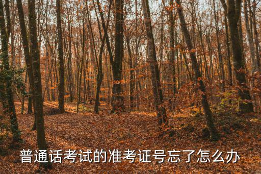 普通話考試的準考證號忘了怎么辦