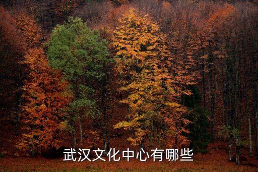 武漢文化中心有哪些