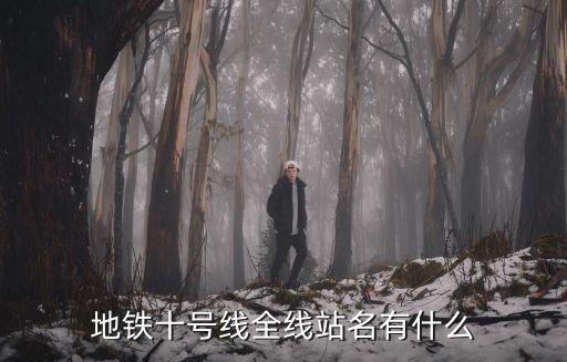 十號線，重慶十號線地鐵線站點有哪些