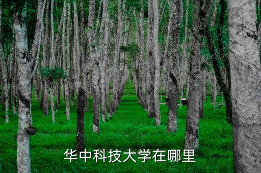 華中科技大學在哪里