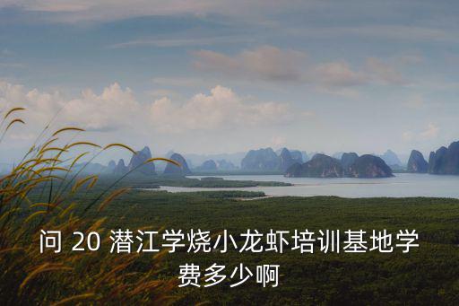 問(wèn) 20 潛江學(xué)燒小龍蝦培訓(xùn)基地學(xué)費(fèi)多少啊