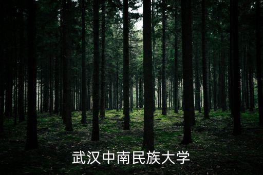 武漢中南民族大學