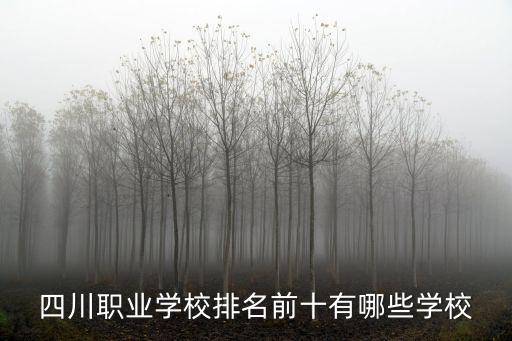 四川職業(yè)學(xué)校排名前十有哪些學(xué)校